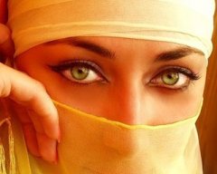 miz ira