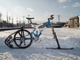 Владимир Кривко
