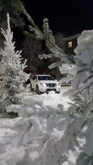 КузНяшка