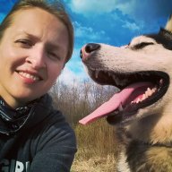 Светлячок