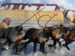 Zarr1212