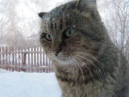 КУЗЬМИЧ