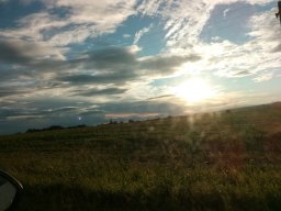 Dmitriy37