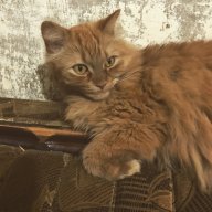 Алекс/купчино