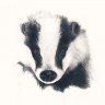 Badger