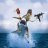 SHARK_Terrano
