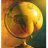 globus
